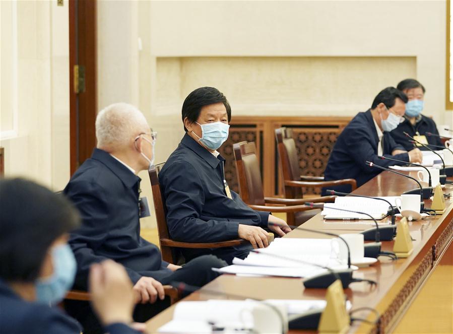 中国-北京-李察湖-人大常委会-小组讨论(CN)